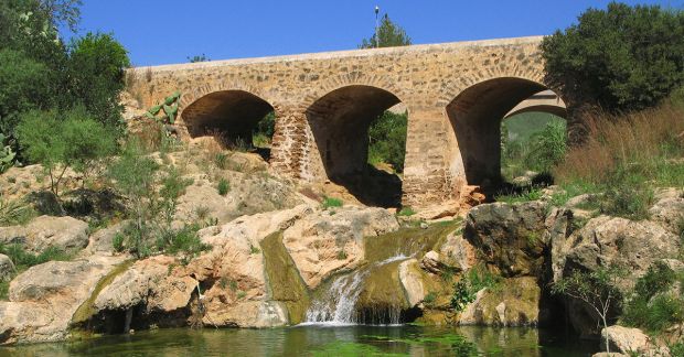 The return of our sleeping river